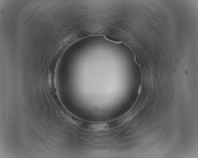 X0000072530089200607141213