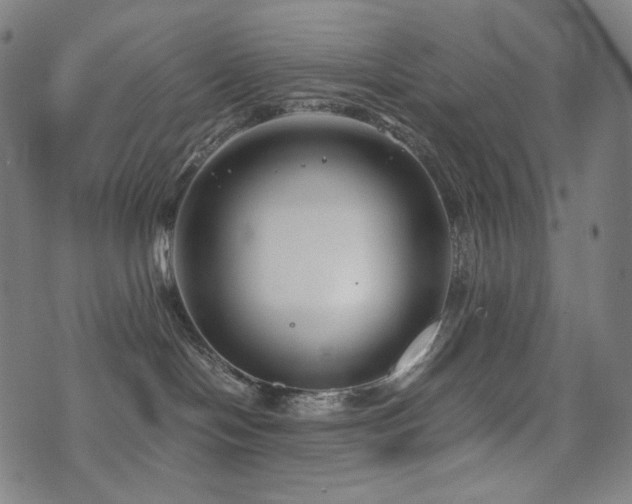 X0000072530094200607141213