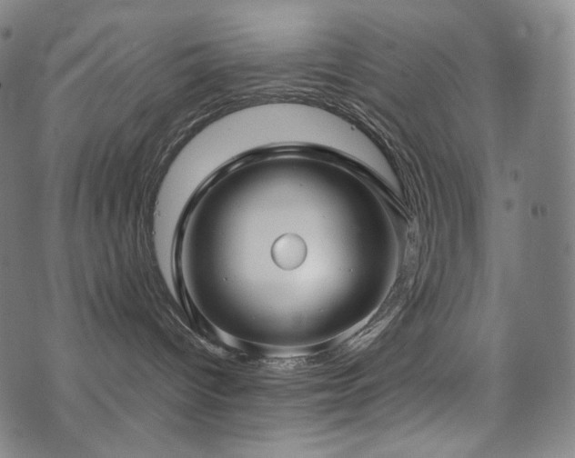 X0000072530096200607141213