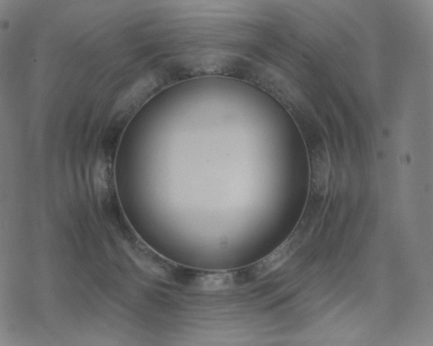 X0000072530126200607141212