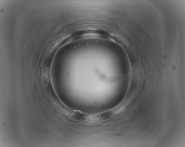 X0000072530141200607141212