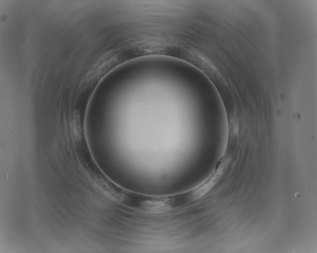 X0000072530170200607141211