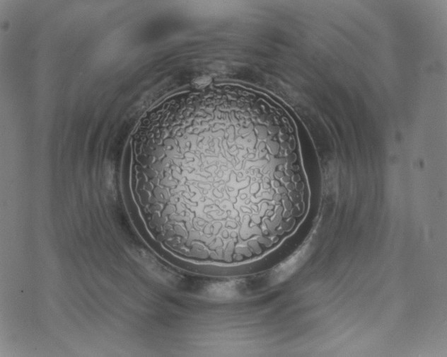 X0000072530178200607141211