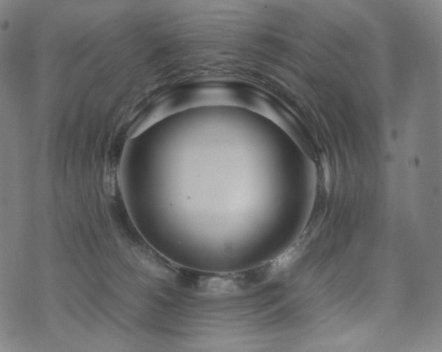X0000072530180200607141211