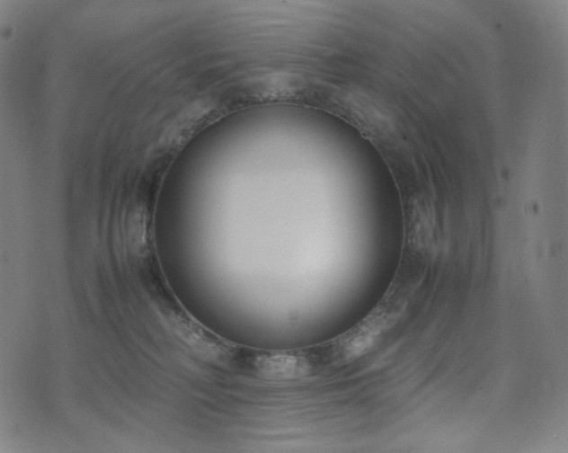 X0000072530230200607141210