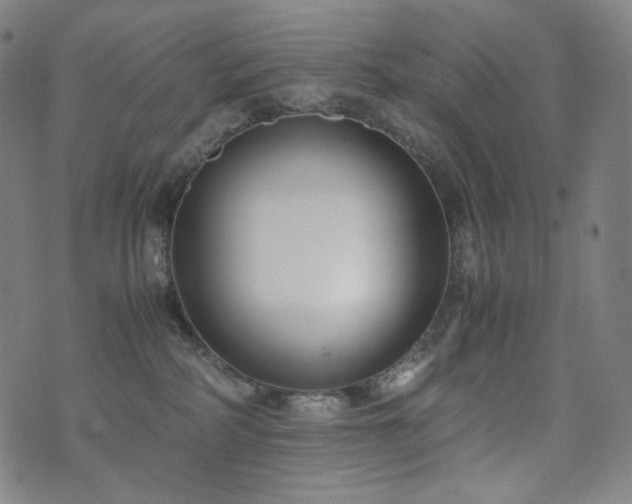 X0000072530234200607141210