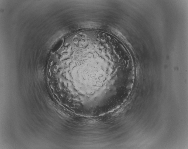 X0000072530249200607141209