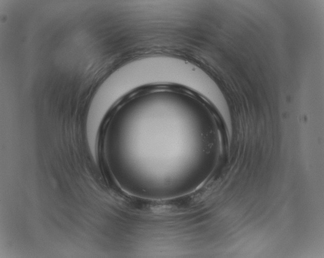 X0000072530268200607141210