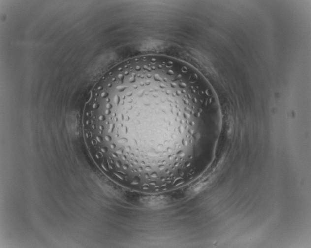 X0000072530273200607141210