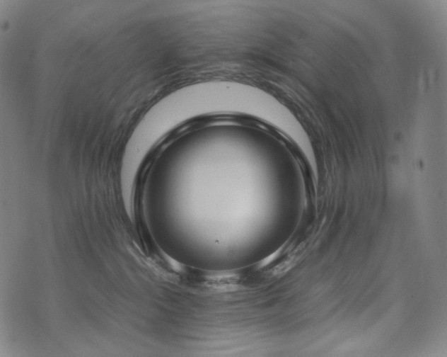 X0000072530284200607141210