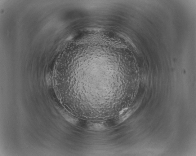 X0000072530285200607141210