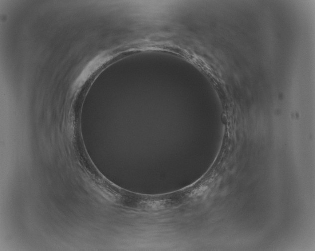 X0000072530295200607141209