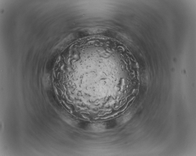 X0000072530327200607141209
