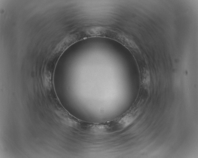 X0000072530332200607141209