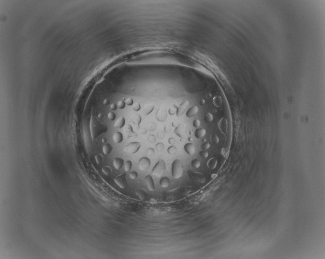 X0000072530346200607141208