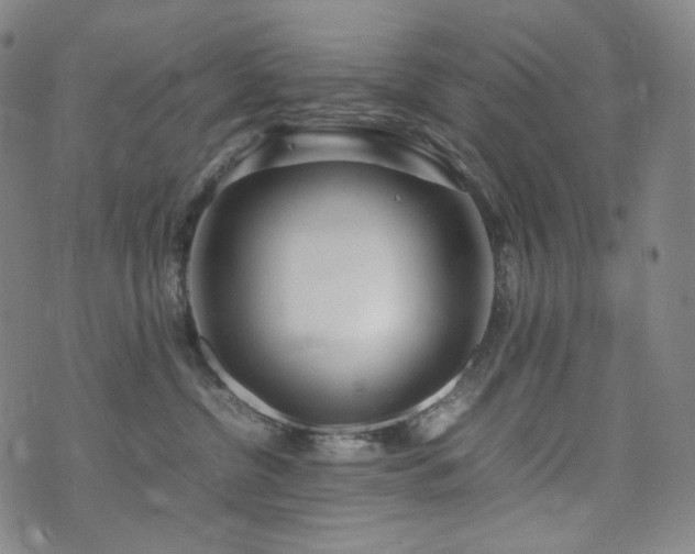 X0000072530380200607141208