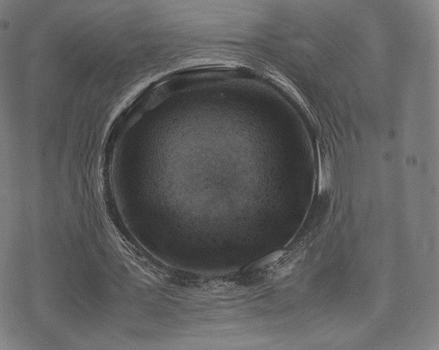 X0000072530387200607141208