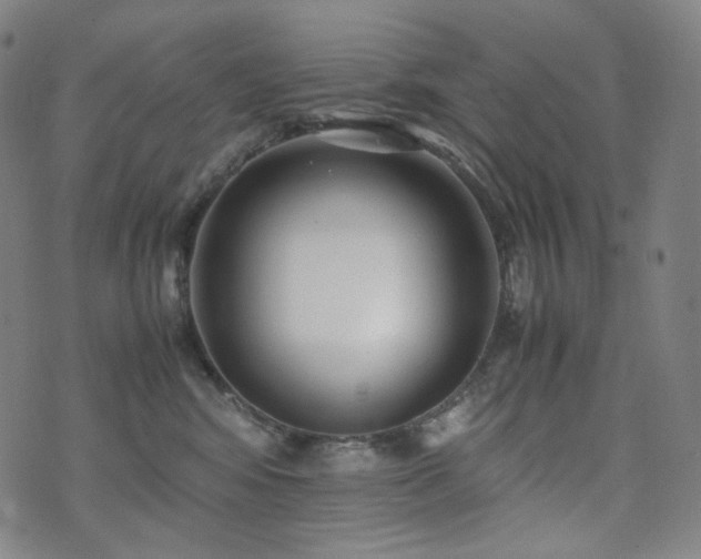 X0000072530424200607141207
