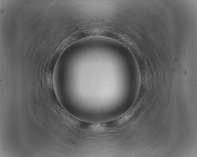 X0000072530425200607141207
