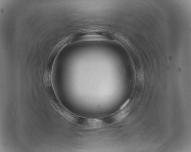 X0000072530429200607141207