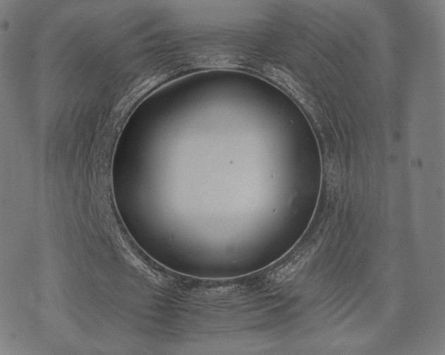X0000072530433200607141206
