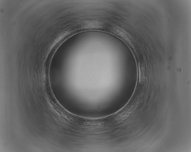 X0000072530435200607141206