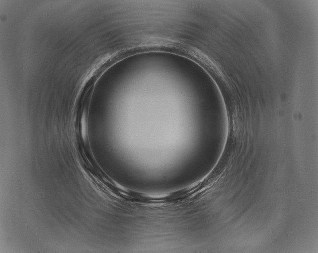 X0000072530436200607141206