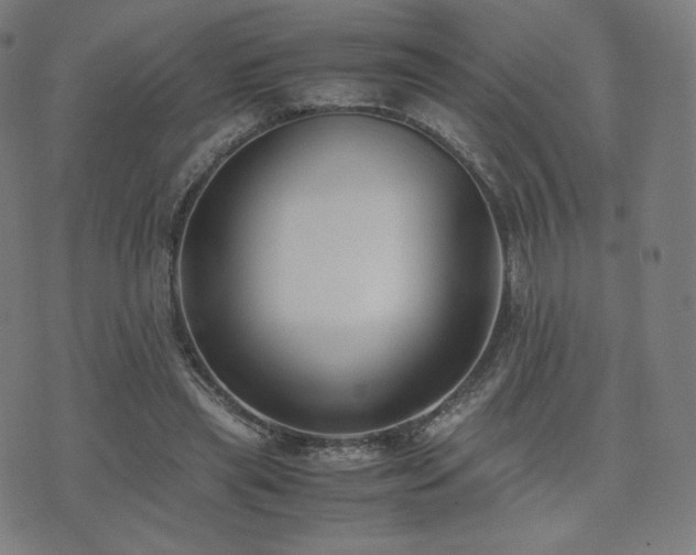 X0000072530445200607141206