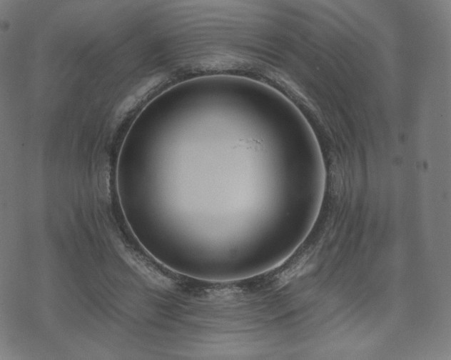 X0000072530446200607141206