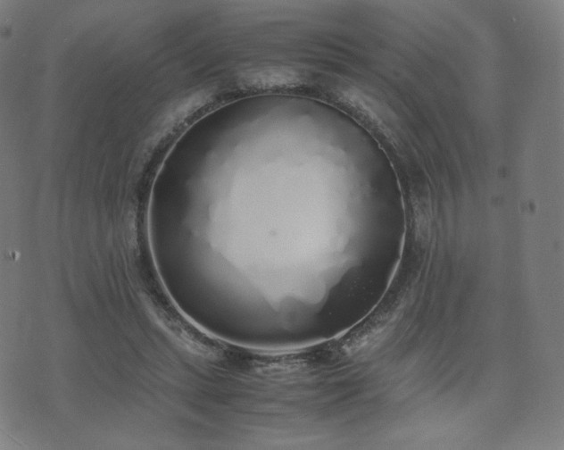 X0000072530447200607141206