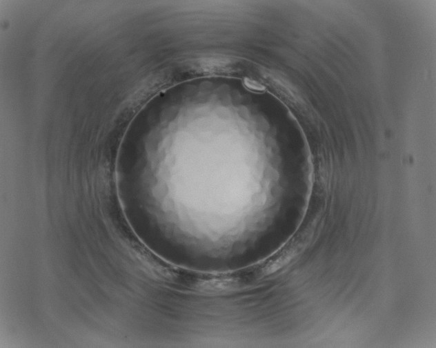 X0000072530461200607141207