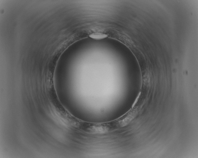 X0000072530464200607141207
