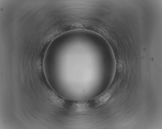 X0000072530466200607141207