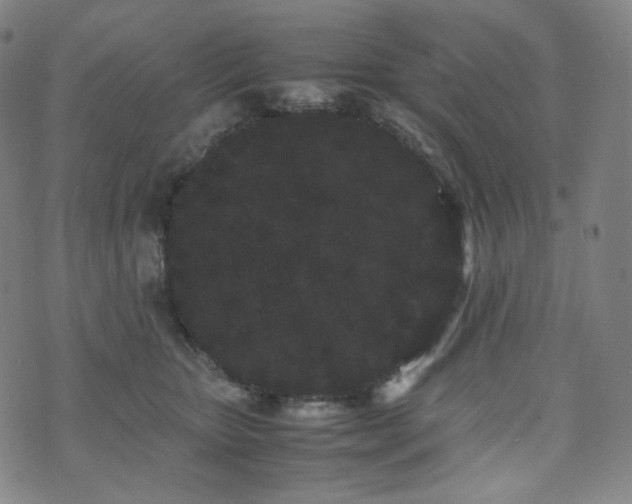 X0000072530467200607141207