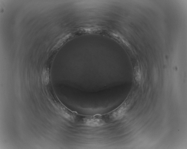 X0000072530471200607141207