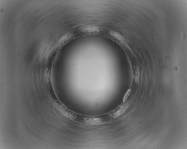 X0000072530476200607141207
