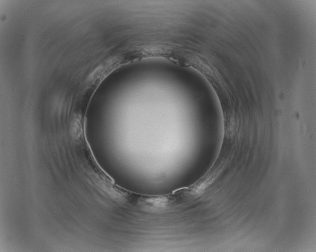 X0000072530478200607141207