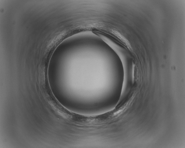X0000072530493200607141206