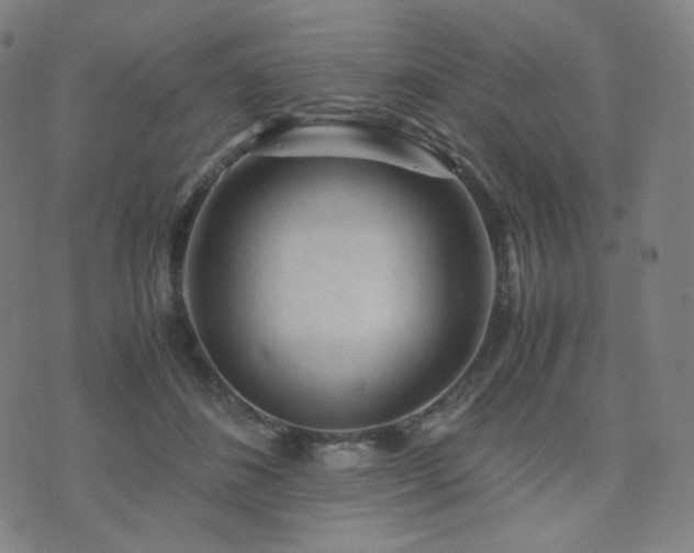 X0000072530508200607141206