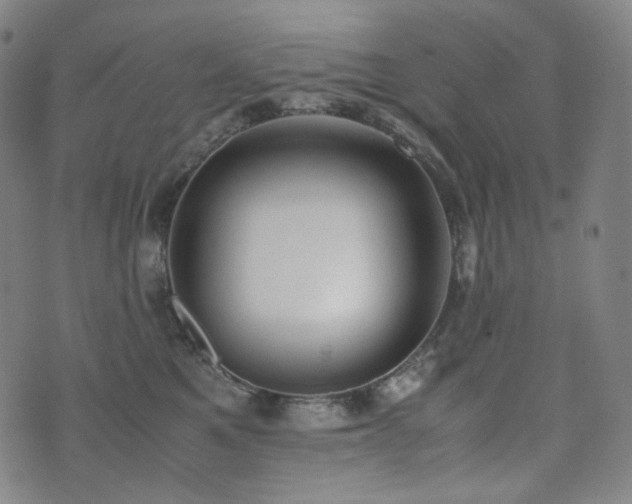 X0000072530521200607141205