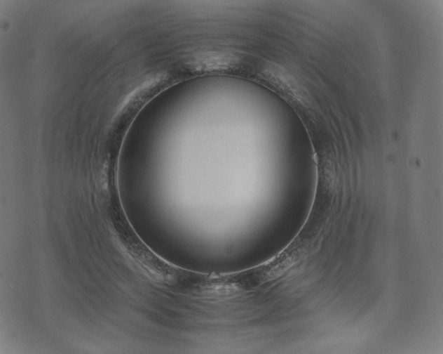 X0000072530543200607141205