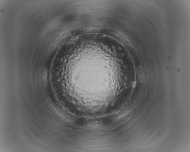 X0000072530550200607141205