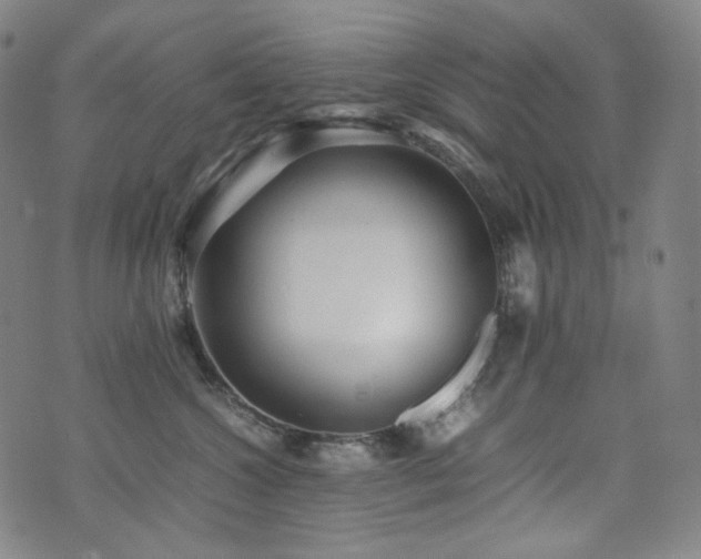 X0000072530572200607141205