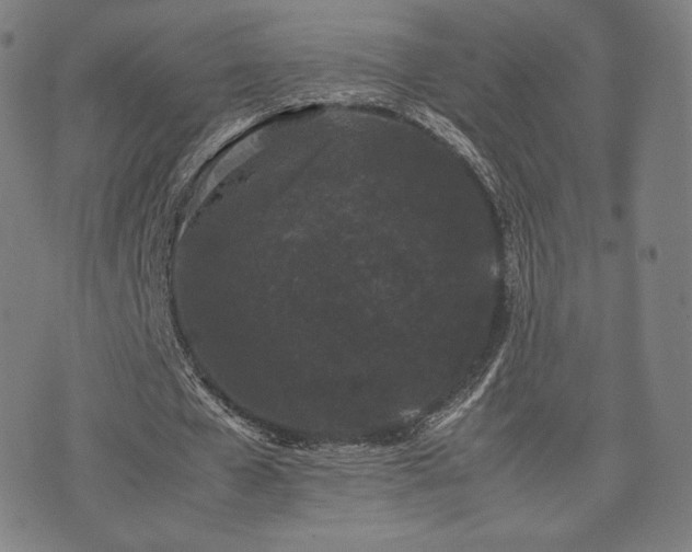X0000072530577200607141205
