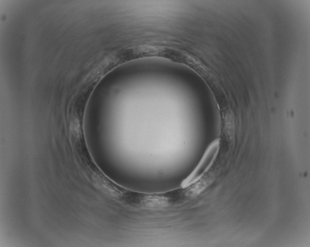 X0000072530617200607141204