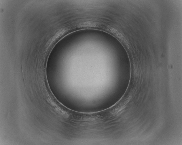 X0000072530625200607141203