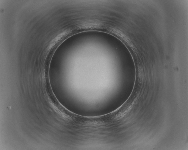 X0000072530629200607141203