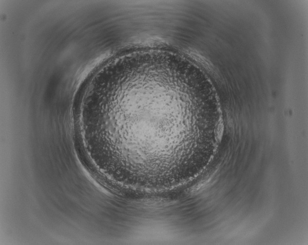 X0000072530630200607141203