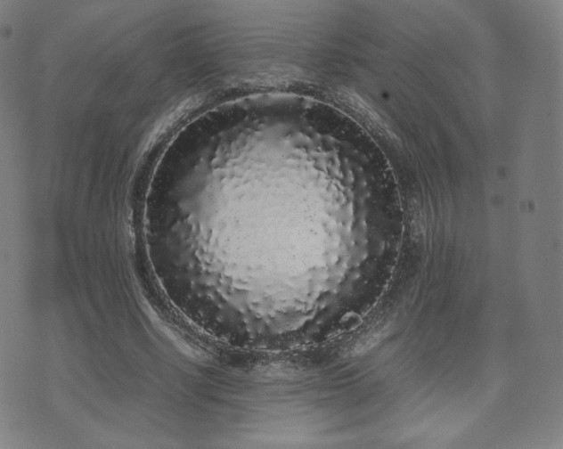 X0000072530634200607141203