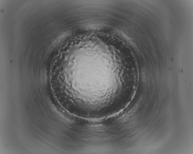 X0000072530637200607141203